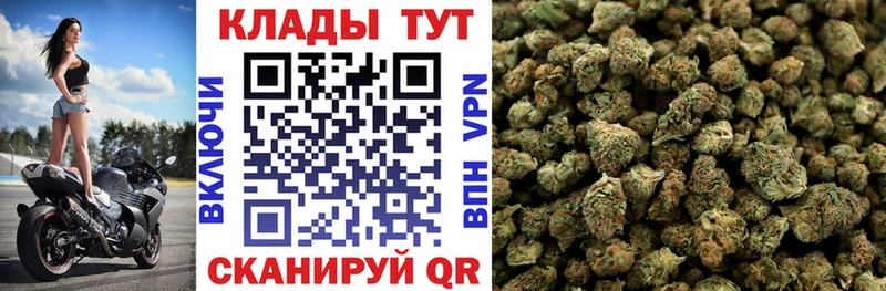 Бошки Шишки Первомайск