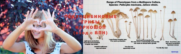 метамфетамин Аркадак