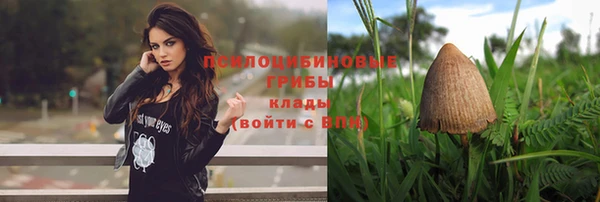 PSILOCYBIN Армянск