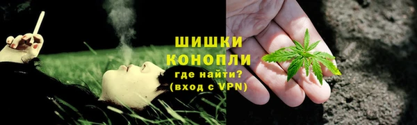 PSILOCYBIN Армянск