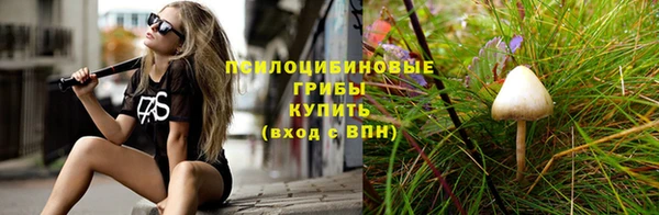 спиды Арсеньев